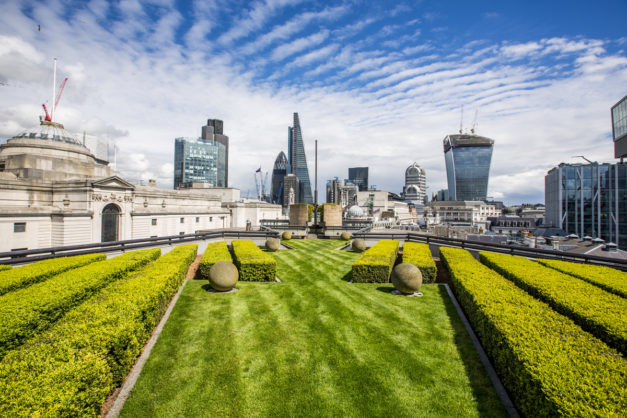 Rooftop Garden at Coq d'Argent reopening